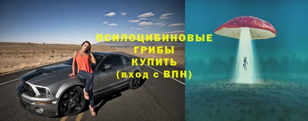 не бодяженный Арсеньев