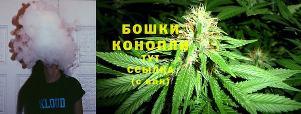 не бодяженный Арсеньев
