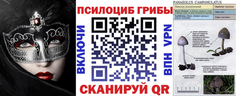 купить наркоту  Губаха  Псилоцибиновые грибы MAGIC MUSHROOMS 